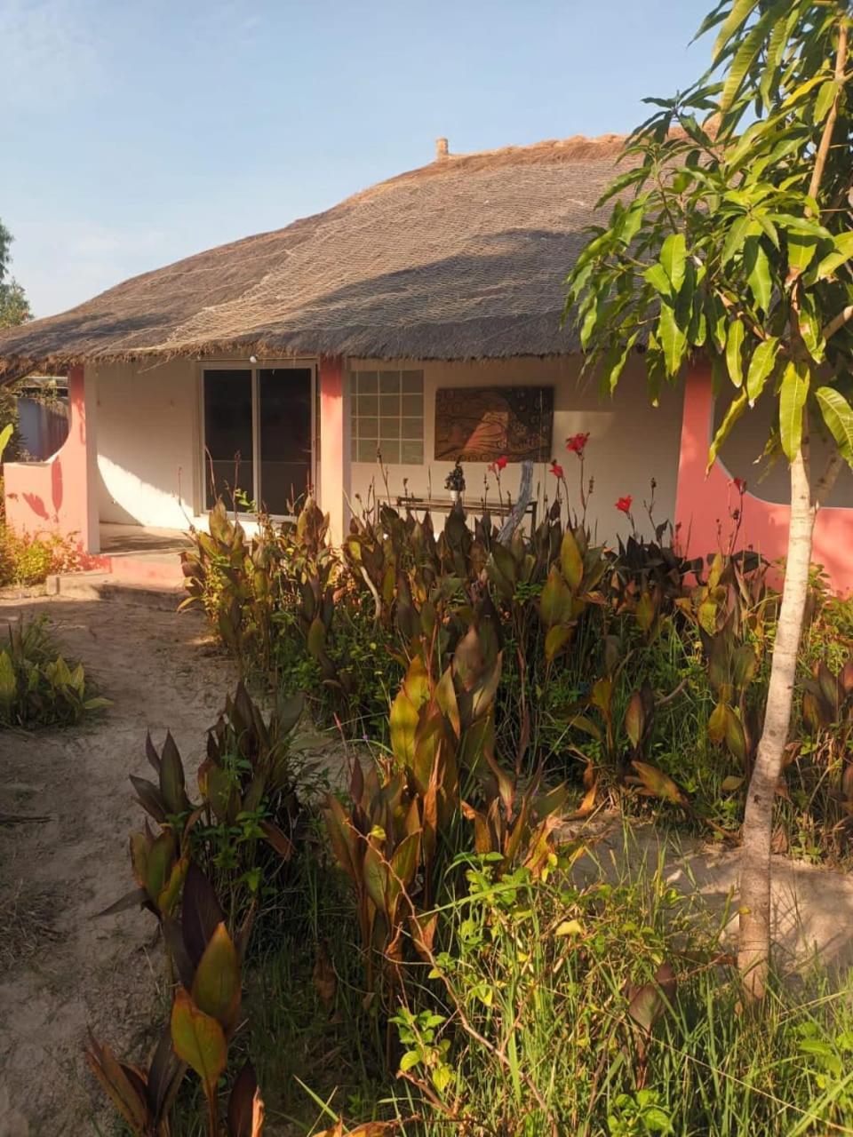 Campement Graine De Paradis Kachiouane Exteriör bild