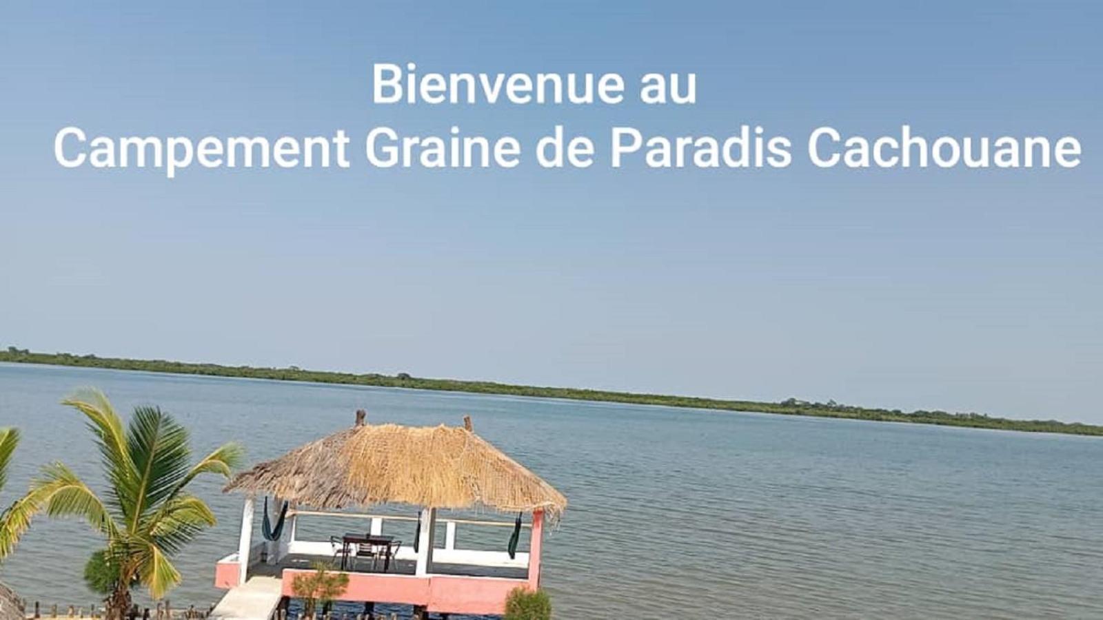Campement Graine De Paradis Kachiouane Exteriör bild